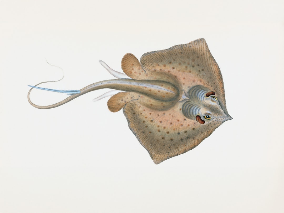 Photo Autophagy stimulation natural